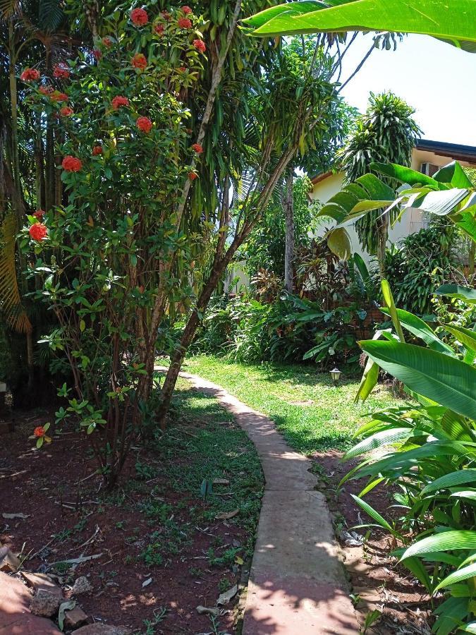 Garden Stone Vandrehjem Puerto Iguazú Eksteriør billede