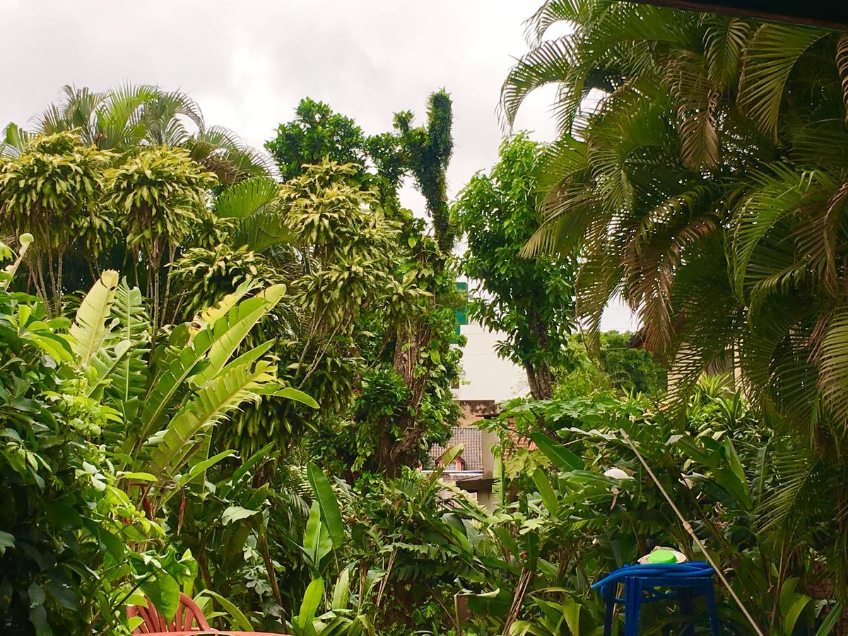 Garden Stone Vandrehjem Puerto Iguazú Eksteriør billede